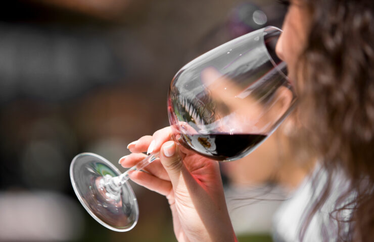 antecedentes-del-vino-16