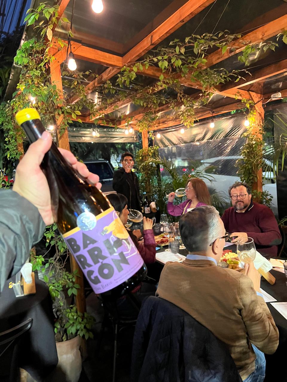 WhatsApp Image 2025-06-13 at 12.22.53 PM (1)