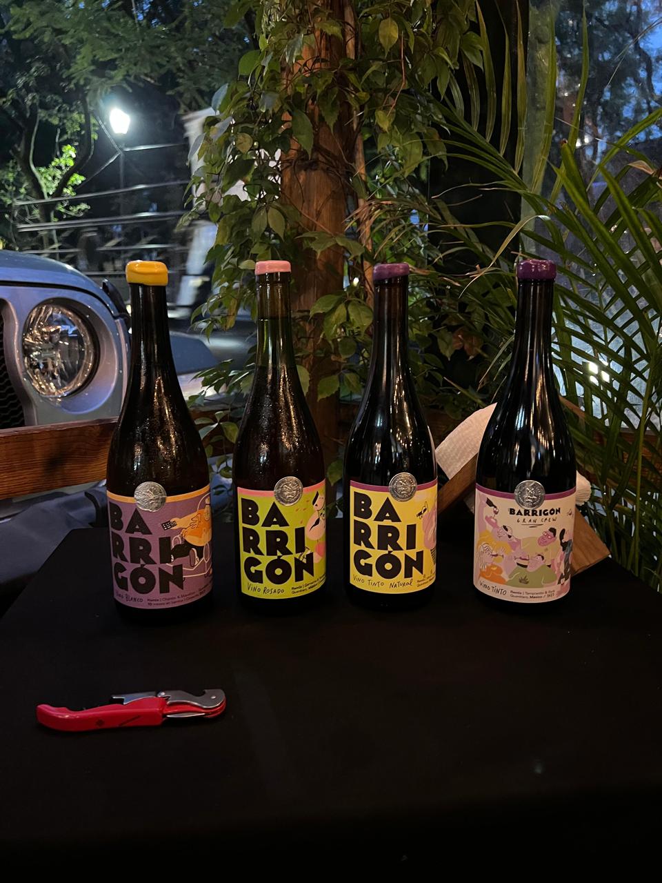 WhatsApp Image 2025-06-13 at 12.22.53 PM