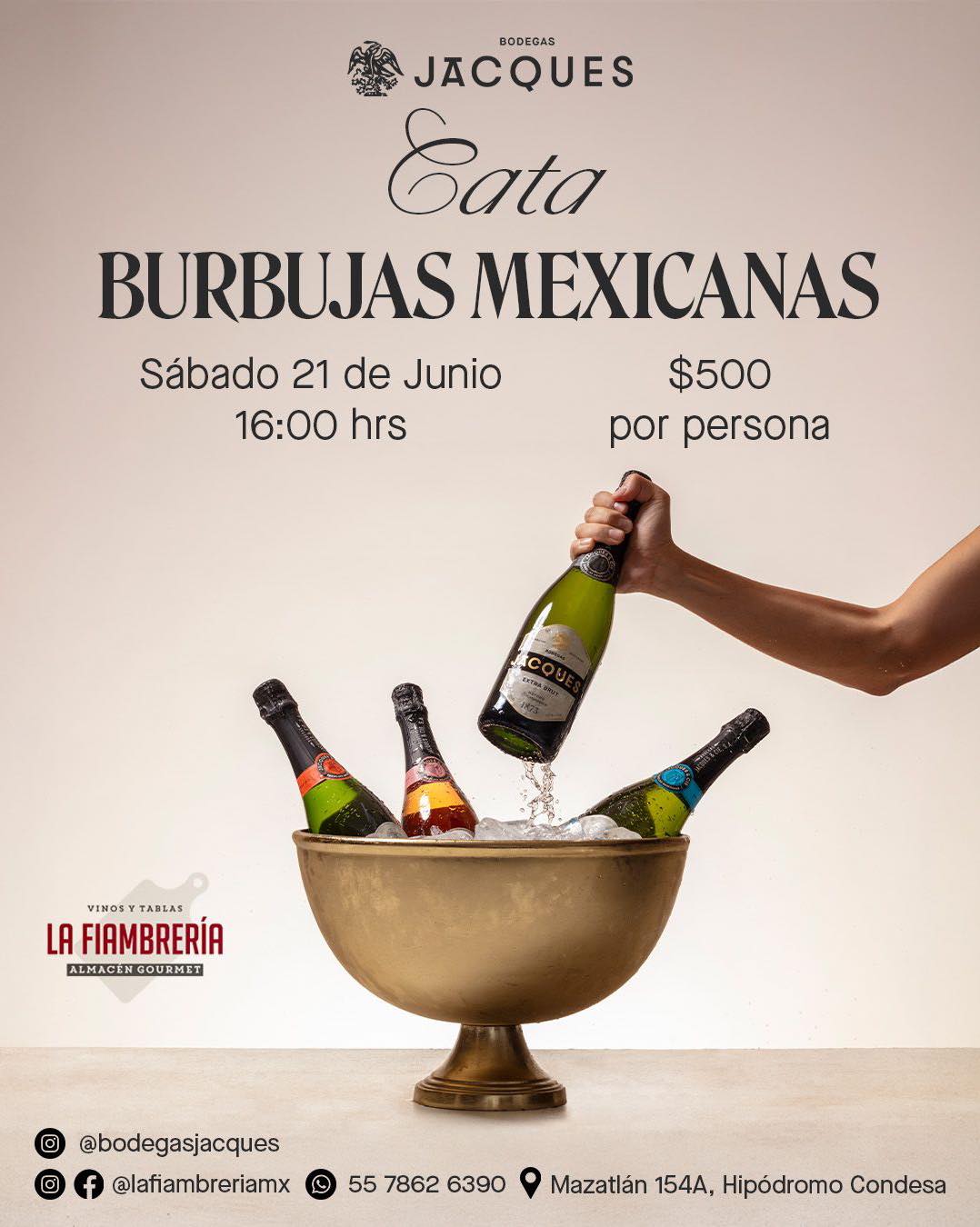 493410589_1338960854623586_4233876774206846999_n