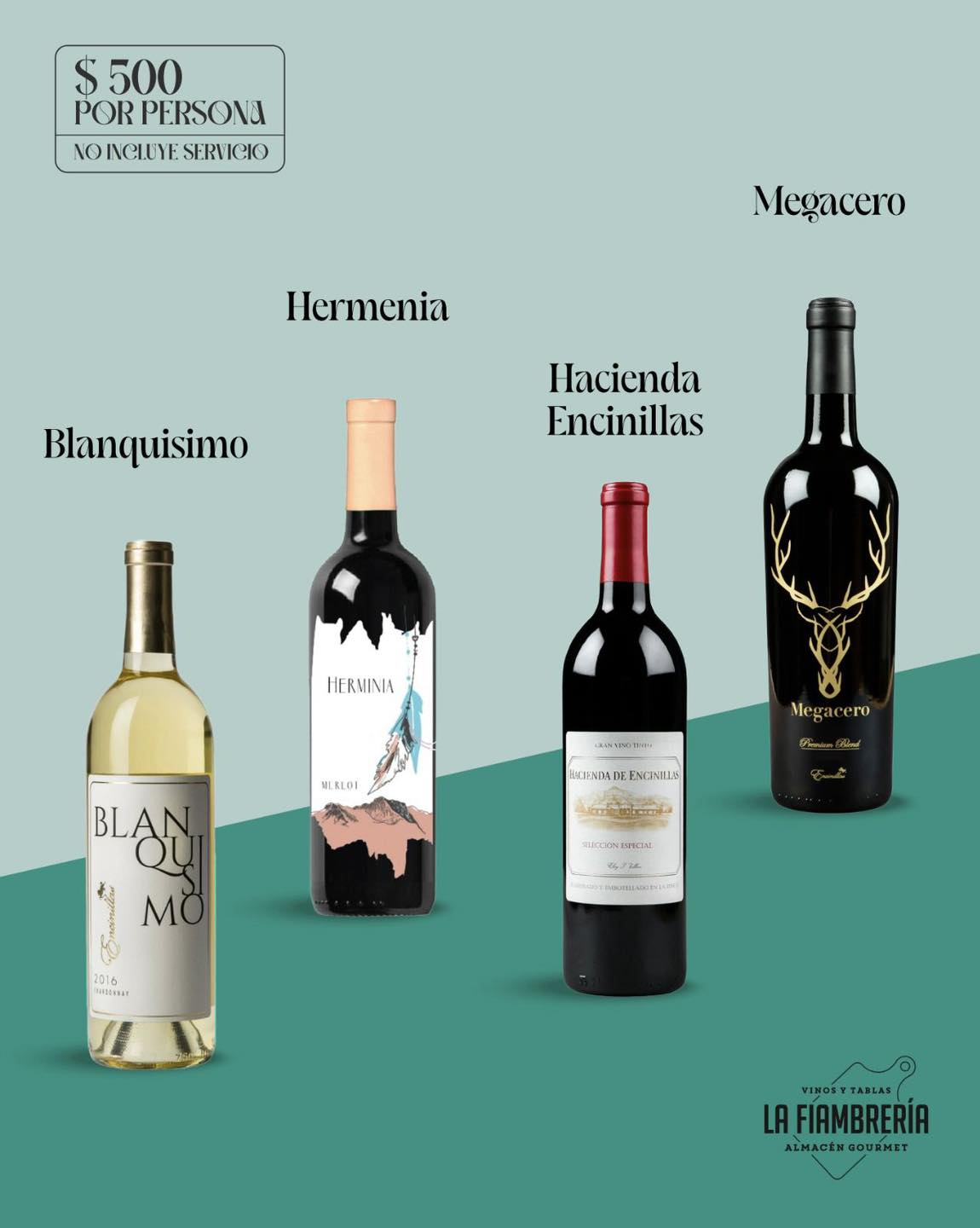 493534638_1333906931795645_837051828534442658_n