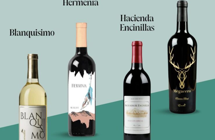 493534638_1333906931795645_837051828534442658_n