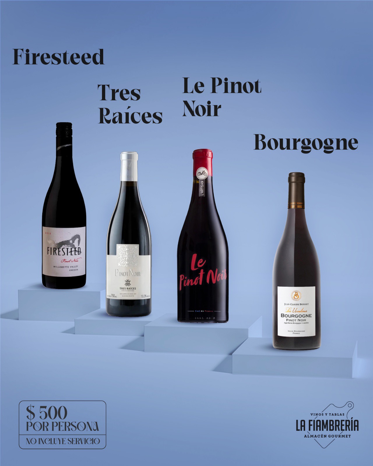 494955033_1340811391105199_268746829507886669_n