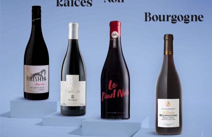 494955033_1340811391105199_268746829507886669_n