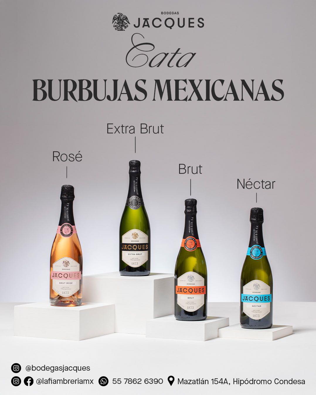 504648807_1338960841290254_5910179027376734878_n