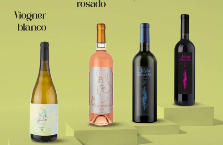 514186453_1350387950147543_4673291790549598921_n