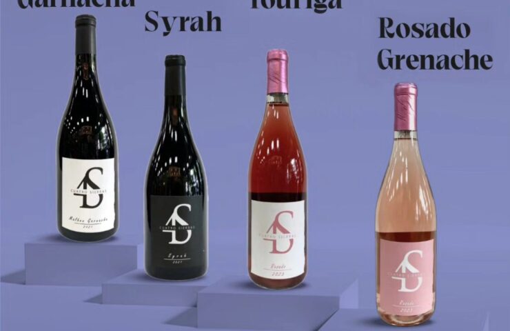 514352823_1351478850038453_4410873695666212278_n