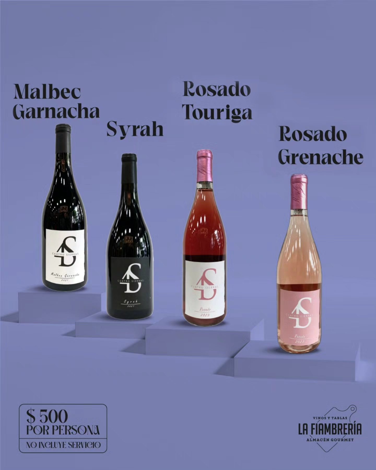 514352823_1351478850038453_4410873695666212278_n