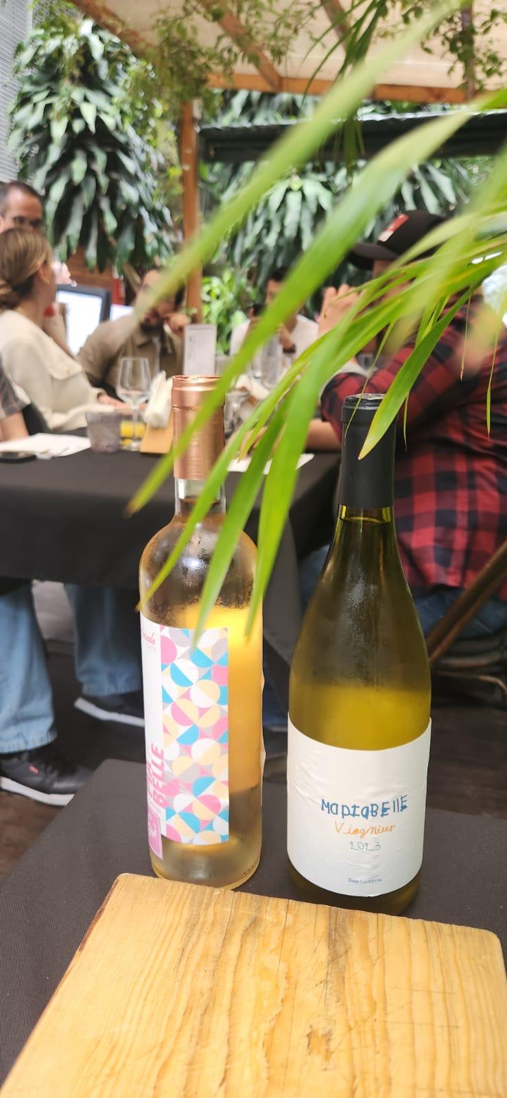 WhatsApp Image 2025-07-23 at 3.21.54 PM