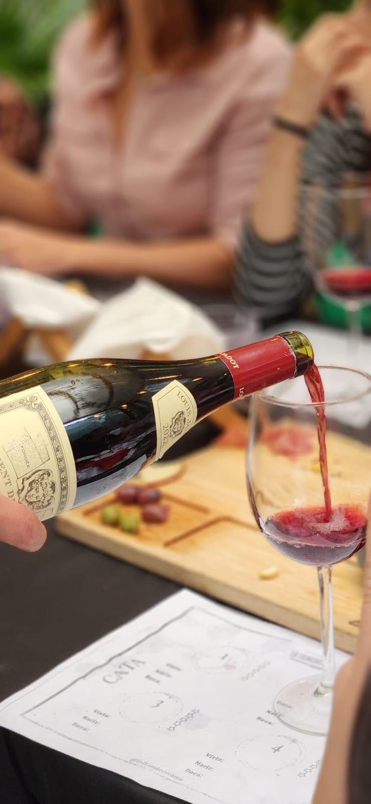 WhatsApp Image 2025-07-23 at 3.34.25 PM (3)