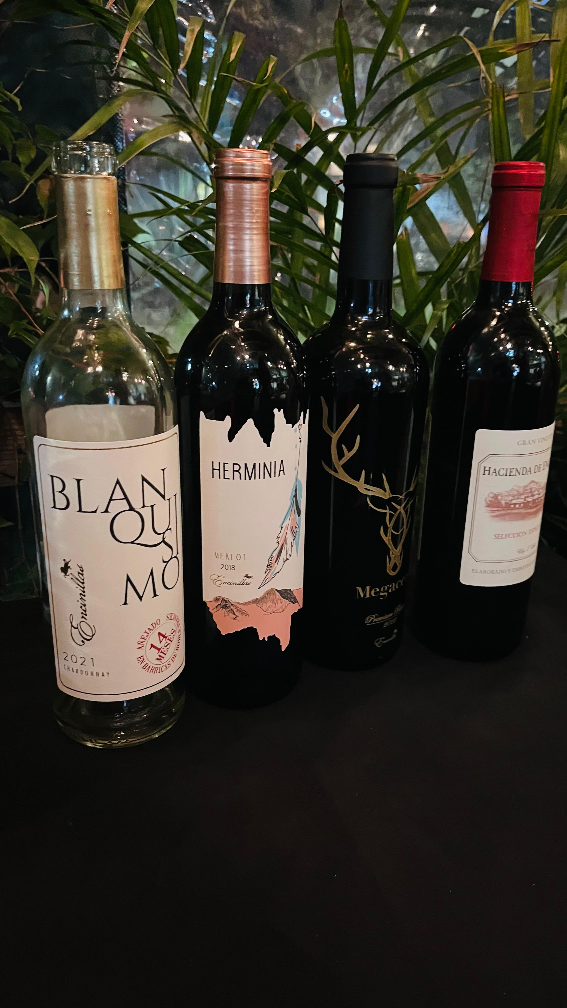 WhatsApp Image 2025-07-23 at 4.53.36 PM (1)