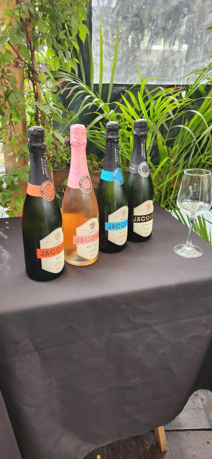 WhatsApp Image 2025-07-23 at 4.56.01 PM