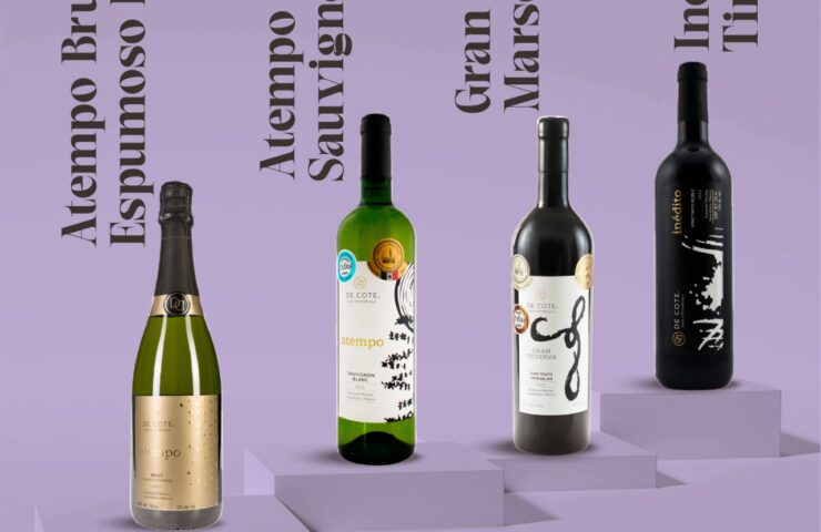 WhatsApp Image 2025-08-07 at 1.24.04 PM (7)