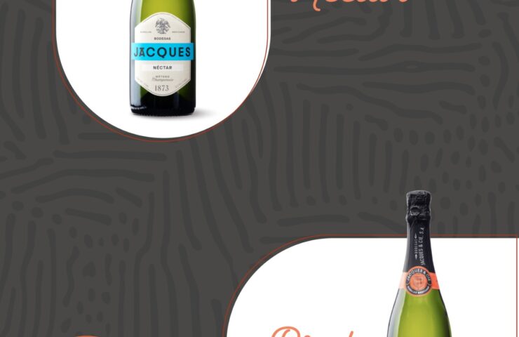 WhatsApp Image 2025-08-07 at 1.45.54 PM (3)