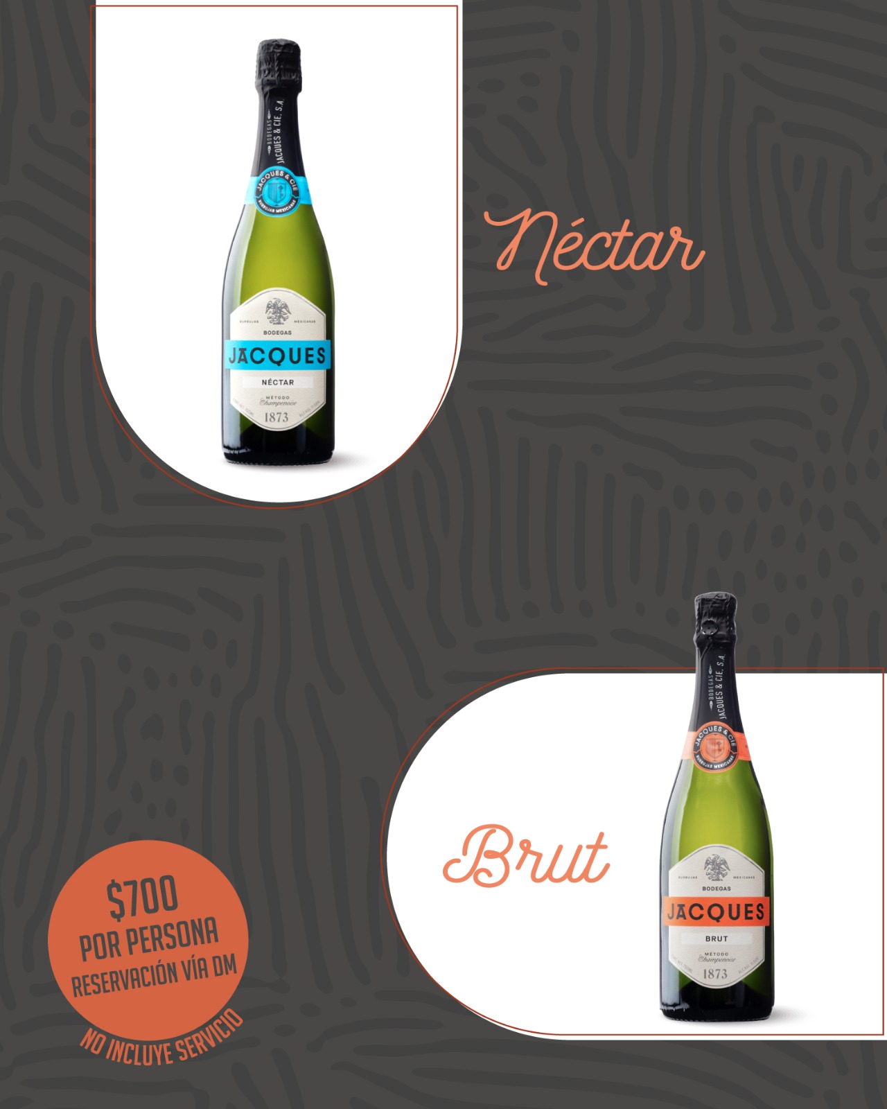 WhatsApp Image 2025-08-07 at 1.45.54 PM (3)