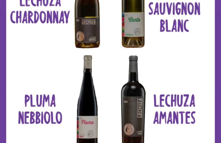 cata 25 de septiembre vinos lechuza 2