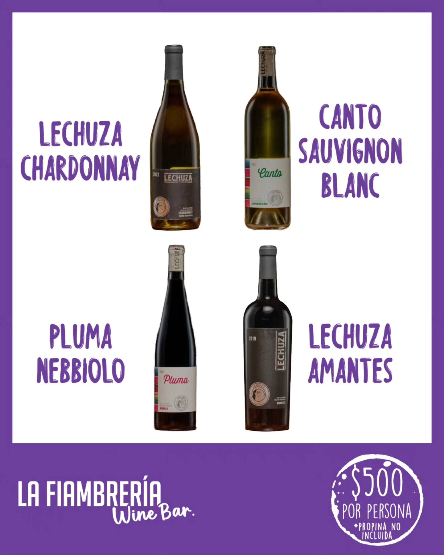 cata 25 de septiembre vinos lechuza 2