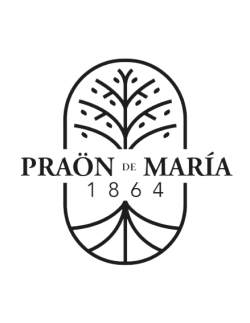 PraonLogo-Transparent